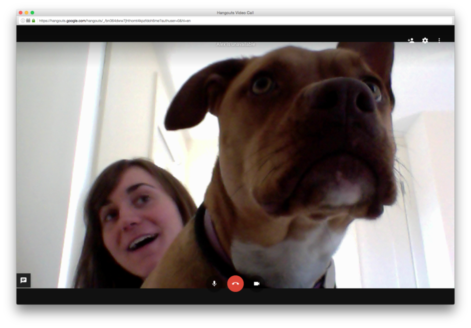 A screenshot of the author on a video call with her dog, whose face fills most of the frame.